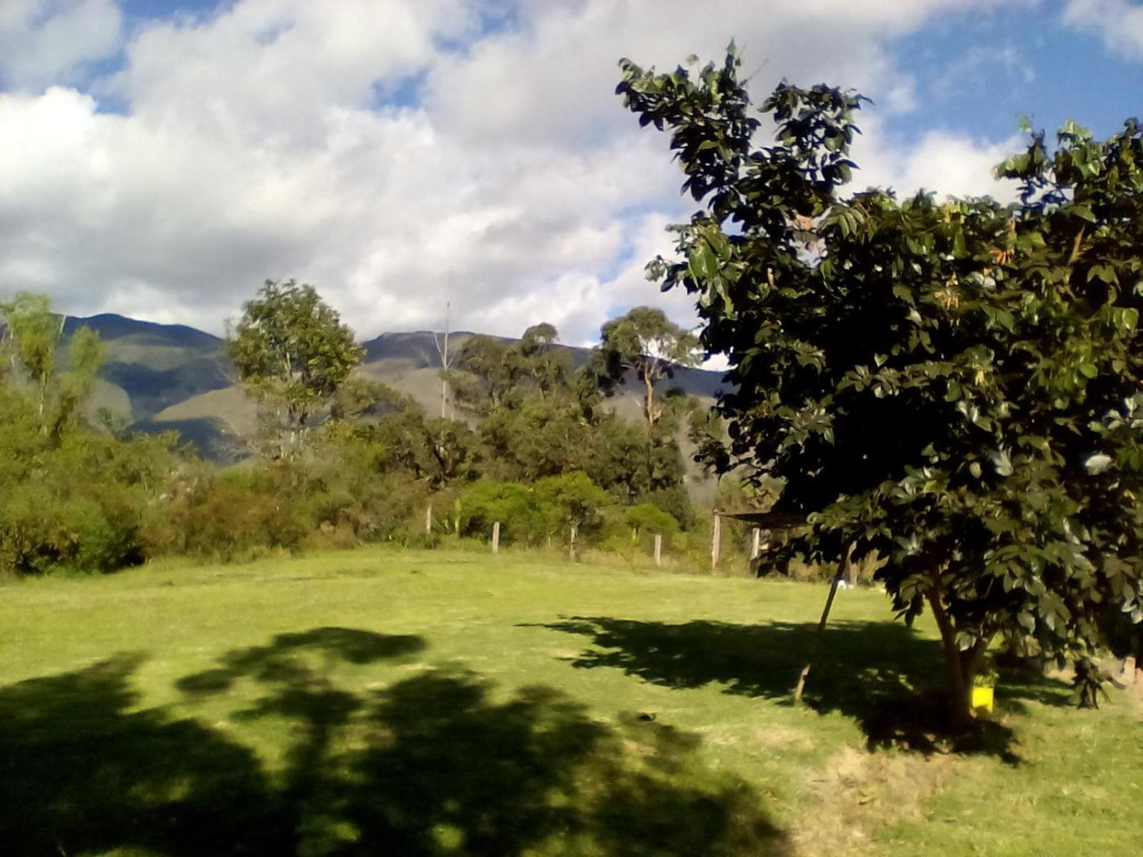Pensjonat Hospedaje Y Zona De Camping Pistacho Villa de Leyva Zewnętrze zdjęcie